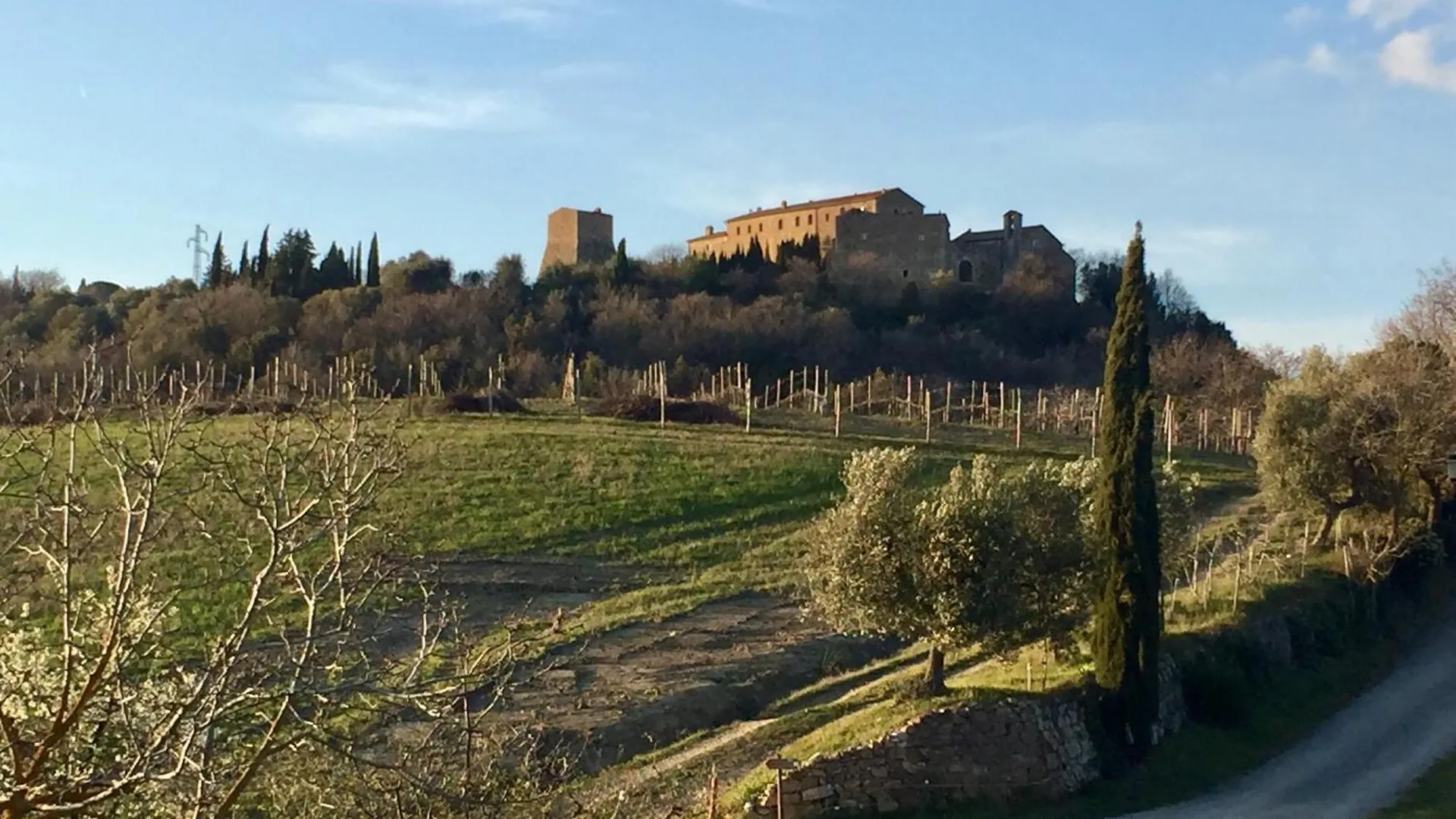 Agriturismo Le Querciole In Val D'Orcia Bagno Vignoni