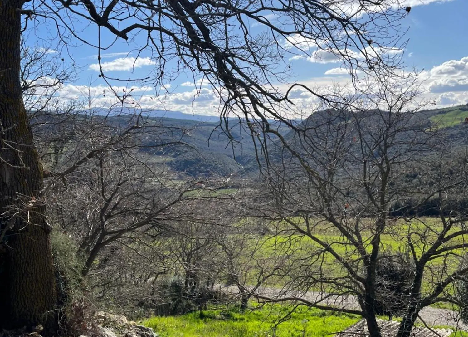Agriturismo Le Querciole In Val D'Orcia Bagno Vignoni Italy
